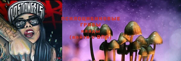МДПВ Няндома