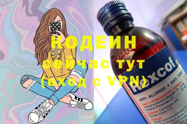 прущие грибы Нязепетровск