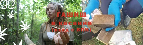 прущие грибы Нязепетровск