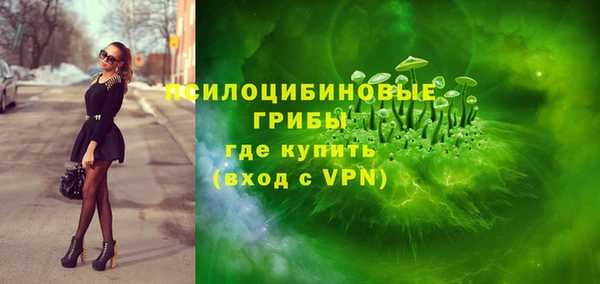 МДПВ Няндома