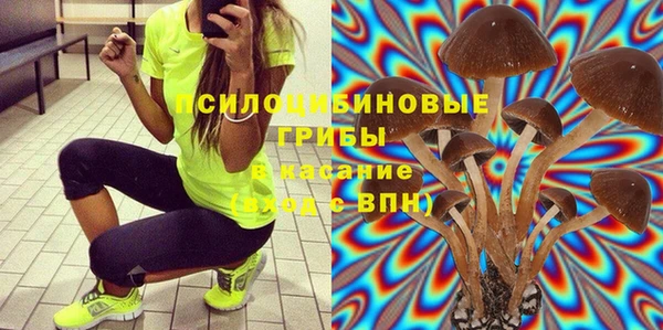 apvp Нягань